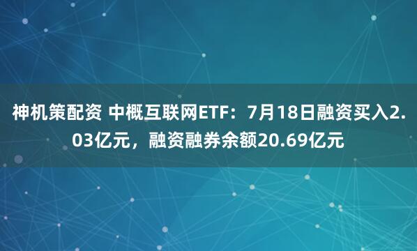神机策配资 中概互联网ETF：7月18日融资买入2.03亿元，融资融券余额20.69亿元